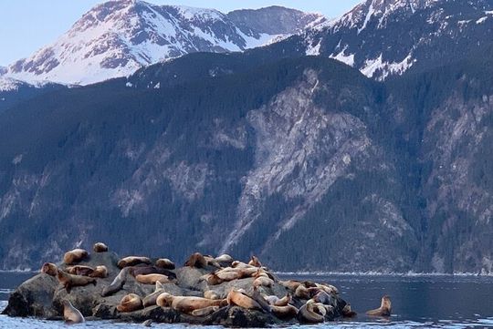 3 Hour Alaska Waterfalls Tour