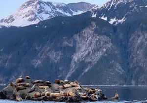 3 Hour Alaska Waterfalls Tour