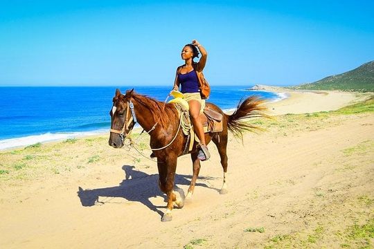 Horseback Riding Tour in Los Cabos