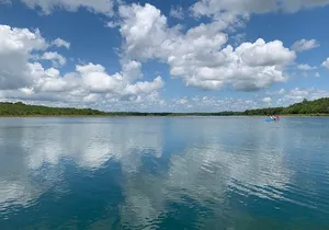 Coba Ruins and Punta Laguna Monkey Reserve Day Tour from Tulum