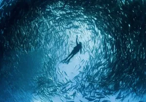 Snorkeling Tour at Land's End in Cabo San Lucas