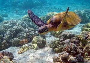 Sian Kaan Biosphere, Nature Eco Reserve! From Playa Del Carmen & Cancun