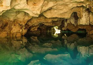 Half Day Horseback Riding Adventure with Cenotes in the Jungle