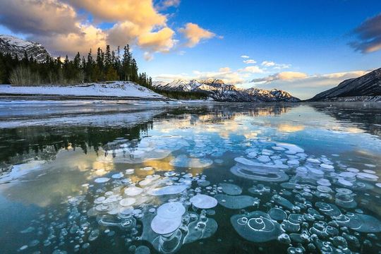 Icefields Parkway and Ice Bubbles of Abraham Lake Adventure