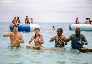 Swimming Pigs Of Rose Island Express Water Taxi Nassau Bahamas