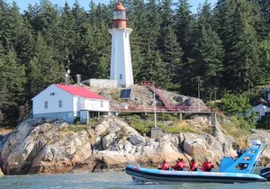 Vancouver City and Seals Scenic Boat Tour by Vancouver Water Adventures
