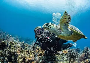 PADI Open Water Diver Course in Playa del Carmen