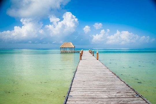 Holbox Magic Island Tour + Round Transportation From Cancun