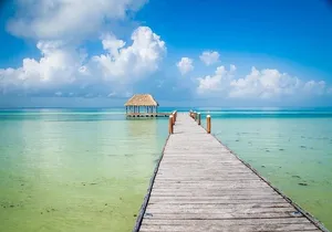 Holbox Magic Island Tour + Round Transportation From Cancun