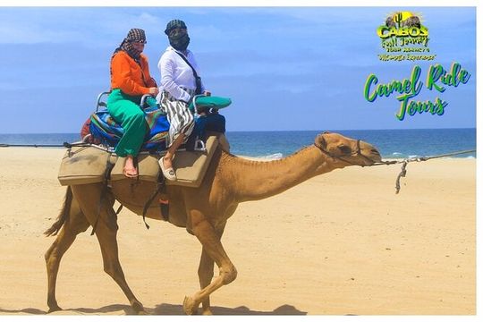 Sunset Camel Ride Tour