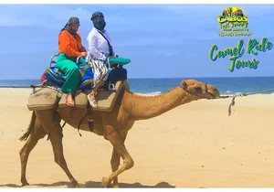 Sunset Camel Ride Tour