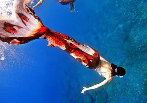 Half Day Mermaiding and Freediving in Tenerife