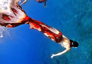 Half Day Mermaiding and Freediving in Tenerife