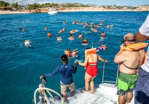 Snorkel Boat and City Shopping Tour