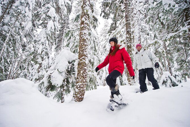 Medicine Trail Snowshoe Tour