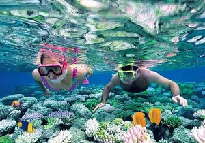 Isla Mujeres Full-Day Tour from Cancun with Lunch