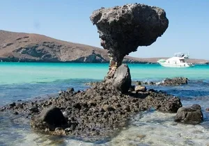 Tour to Playa La Paz from Cabo San Lucas