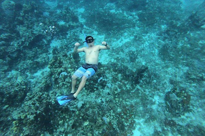 Amazing Snorkel at Cozumel Reef! Round Transportation from Tulum
