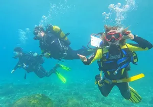 Diving in Los Cristianos, Tenerife