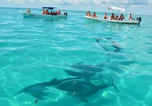 Snorkeling in Sian Ka'an