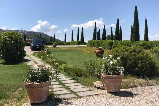 Small group Chianti-side wine tour with Mercedes V class Van