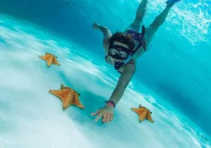 Explore El Cielo in Cozumel. Snorkel in 3 different reefs & visit Cielito Beach.