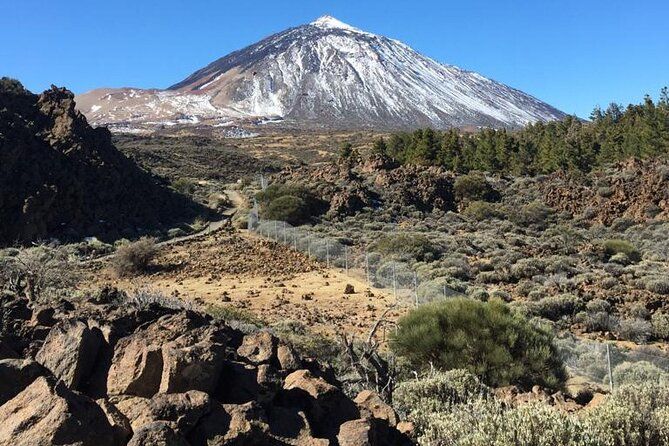 Origin: Teide A Journey to Tenerife's Volcanic Heart.