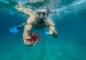 Private Snorkel with Beach Set-Up