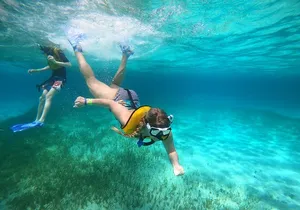 Snorkel with Transportation from Cancun