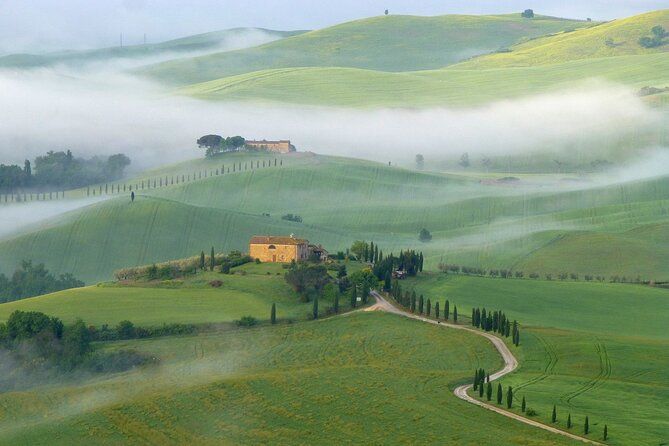 Full Day PRIVATE Guided Tour in Val D'Orcia Region from Florence