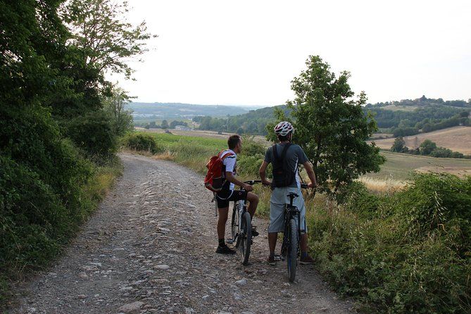 Small Group E-Bike Chianti Tour with farm lunch from Siena