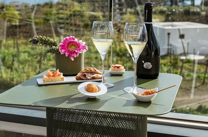 Mount Vesuvius Wine Tasting & Traditional Lunch