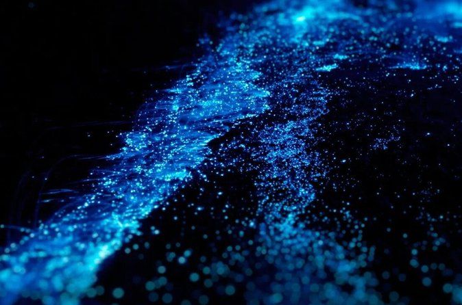 Bioluminescence Kayak Tour in the San Juan Islands