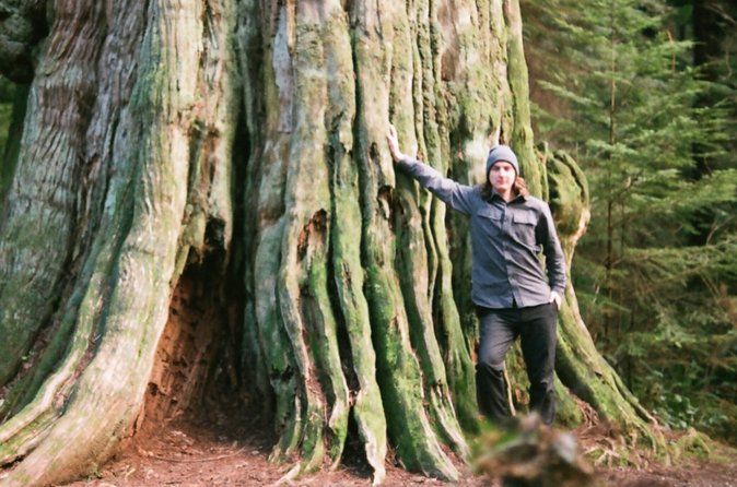 Ancient Trees of Vancouver Walking Tour