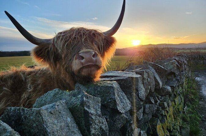 Private Tour of the Scottish Highlands from Edinburgh