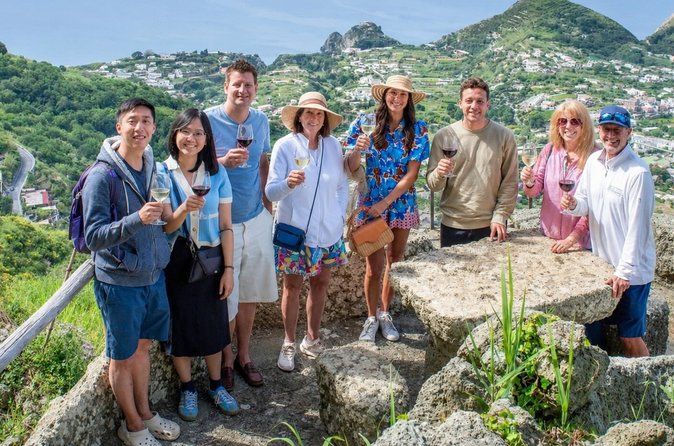 Ischia Wine Tasting Experience, Vineyards Tour and Hotel Pickup
