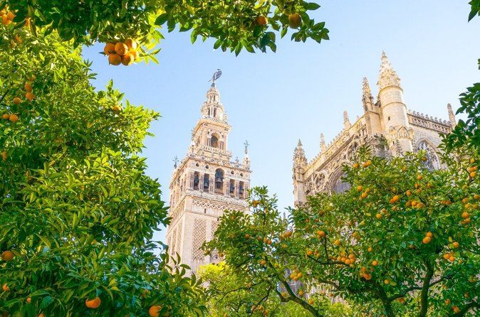 Essential Seville: Tour of the Great Monuments and Santa Cruz