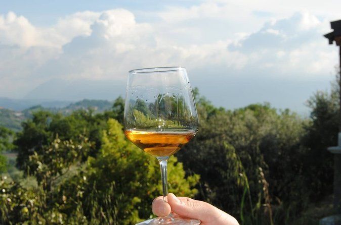 Winery Tour and Tasting in Abruzzo