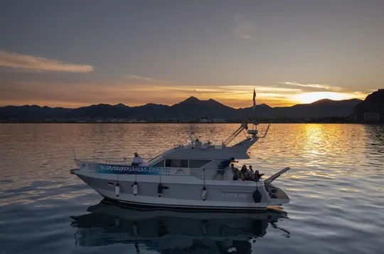 Palermo Boat Sunset with Palermo Experiences