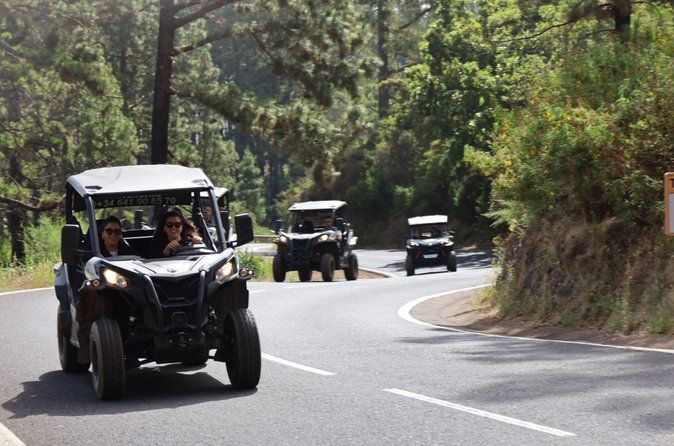 Puerto de la Cruz: Buggy Teide Day National Park