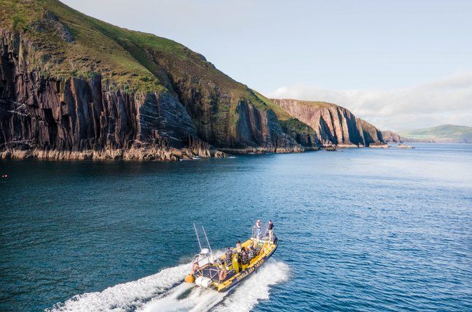 Dingle Sea Safari - Rib boat tour in Dingle Bay
