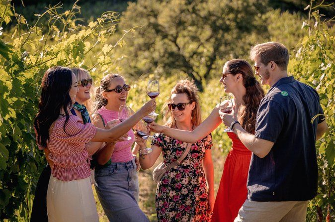 Half-Day Chianti Wine Tasting from Florence with Two Wineries
