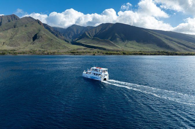 Maui Magic Adventure Snorkel: Molokini Crater and Turtle Stop