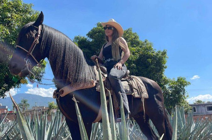 Guadalajara Tequila Tastings Tour