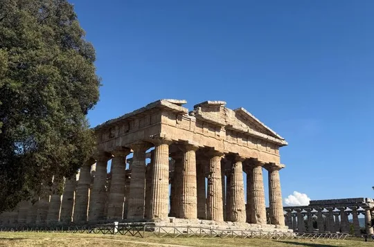 Paestum and its Greek Temples Private Day Tour from Rome