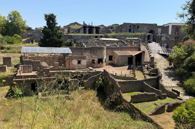 Pompeii and Sorrento Private Day Tour from Rome