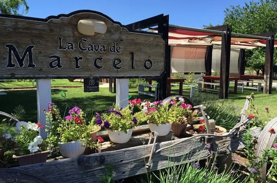 Ojos Negros Valley Wine and Cheese Route Tour in Baja California