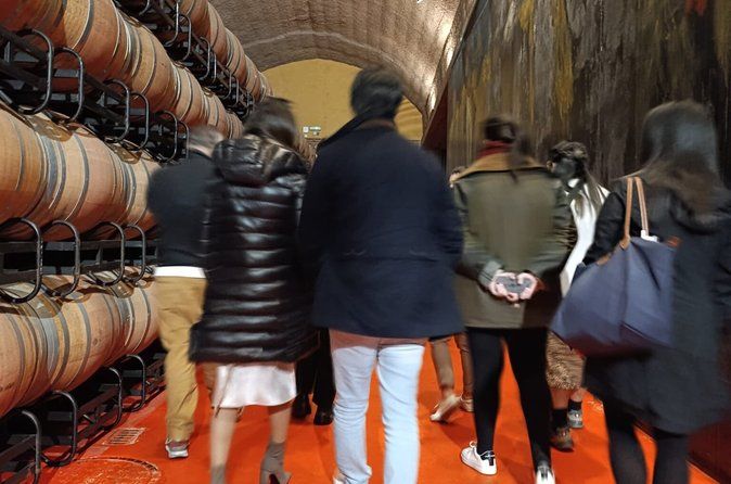 Rioja Wine Tour: Visit 3 Wineries and East Pintxos for Lunch