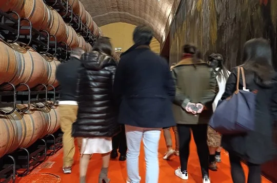 Rioja Wine Tour: Visit 3 Wineries and East Pintxos for Lunch