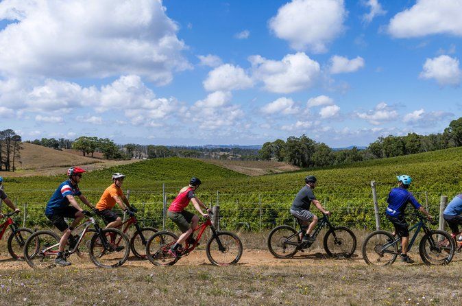 McLaren Vale Wine Tour by E-Bike (Private & Small Group)